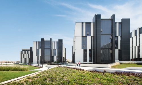 News-Updates-Hyde-Park-Business-District-Cover